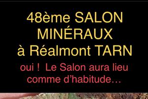 photo Salon Internationaml Mineraux et Fossiles