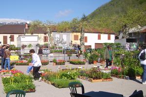 Marché aux fleurs