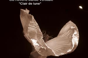 photo Compagnie Rêverie  Danse Verticale        « Clair de lune » 