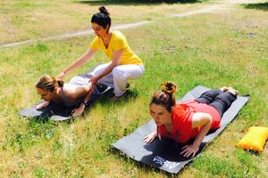 des cours de yoga au coeur de la forêt de Fontainebleau