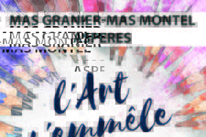 photo exposition d'artistes au Mas Granier-Mas Montel à Aspères