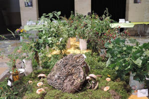 la nature en automne - champignons et fruits sauvages