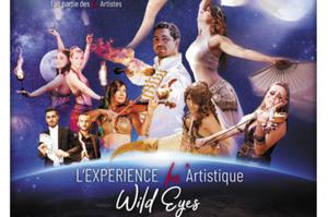 photo FEEL' ART Spectacles - L'Expérience artistique Wild Eyes