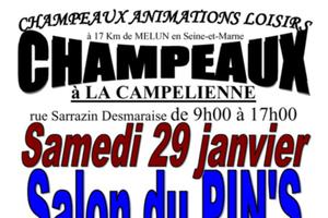 photo Salon du Pin's le 29/01/2022 à CHAMPEAUX (77)