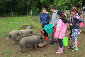 Stage petits fermiers de 6 à 9 ans