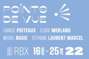 POINTS DE VUE | Fabrice Poiteaux, Stéphane Laurent Marcel, Élodie Merland et Michel Nguie