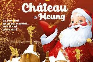 Le Noël des Magiciens au château de Meung sur Loire