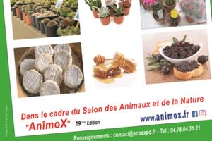 EXPO - VENTE Plantes, Nature & Terroir