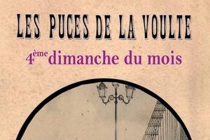 LES PUCES de LA VOULTE