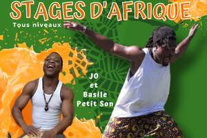 stages percussions et danses africaines
