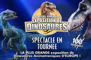 photo Dinosaures: Narbonne accueille le Musée Éphémère®