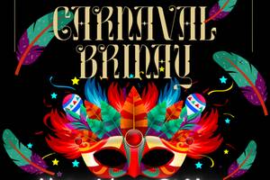 Carnaval de Brinay