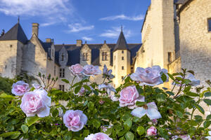 photo Fête des Roses au Château du Rivau - RDV aux Jardins (37)