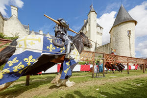 photo Joutes Equestres au Château du Rivau (37)