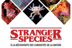 photo Stranger species : à la découverte des curiosités de la nature