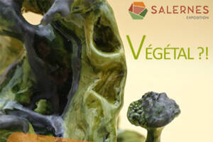 photo Exposition céramique « Végétal »