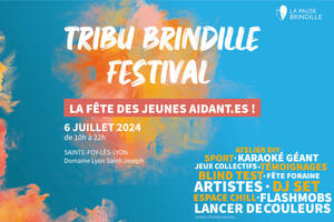 photo 2ème édition du Tribu Brindille Festival