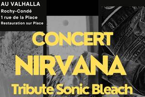 photo Tribute Nirvana Sonic Bleach