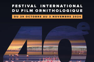 40ème édition du Festival International du Film Ornithologique de Ménigoute