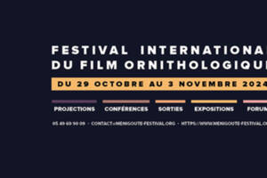 Concerts 40ème Festival International du Film Ornithologique de Ménigoute