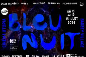 photo Festival Bleu Nuit