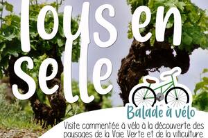 photo Balade guidée à vélo - Patrimoine et vin