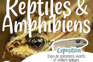 Reptiles & Amphibiens