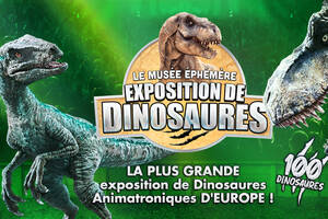 Dinosaures: Casteljaloux accueille le Musée Éphémère®