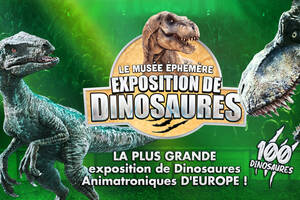 photo Dinosaures: Perpignan accueille le Musée Éphémère®