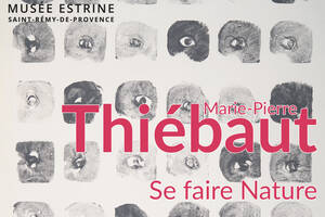 Marie-Pierre Thiébaut - Se faire Nature