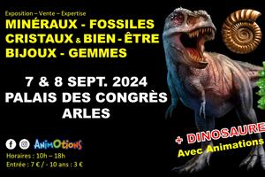 Salon Minéraux Fossiles Cristaux & Bien-Être Bijoux et Gemmes  + Exposition de Dinosaures