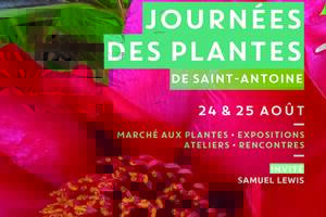 photo Journées des plantes de Saint-Antoine