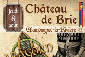 Fête médiévale du château de Brie