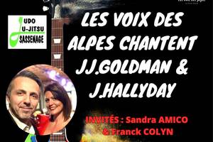 Les Voix des Alpes chantent JJ.Goldman et J.Hallyday