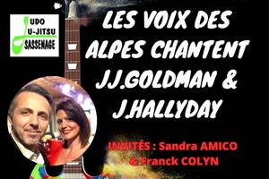 photo Les Voix des Alpes chantent JJ.Goldman et J.Hallyday