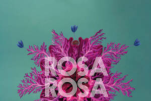 Rosa Rosa - Musique d'aventures / Rock prog instrumental