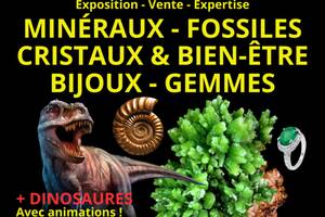 5ème Salon Minéraux Fossiles Cristaux & Bien-Être Bijoux et Gemmes  + Exposition de Dinosaures