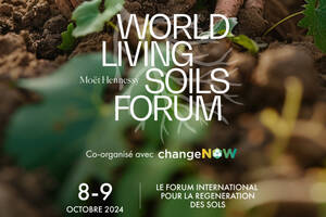 photo 2e édition du World Living Soils Forum