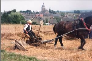 Fête de la moisson