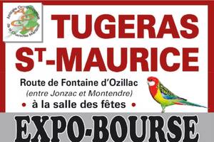 Exposition-Bourse aux oiseaux