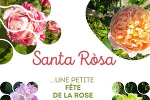 Santa Ròsa, une petite fête de la rose