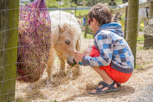 Fête du Cheval