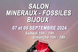 Salon minéraux, fossiles, bijoux de créateur.