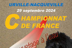 photo Championnat de France chien de sauvetage en Mer