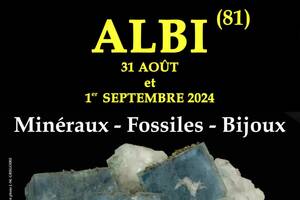 9e SALON MINERAUX FOSSILES BIJOUX d'ALBI (Tarn)