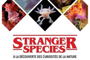 photo Stranger species : à la découverte des curiosités de la nature