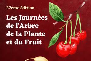 photo Journées de l'arbre de la plante et du fruit