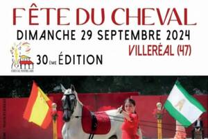 Spectacle Equestre