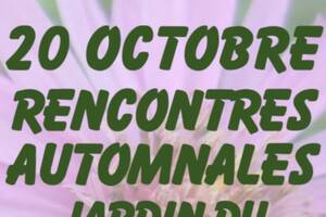 Rencontres automnales