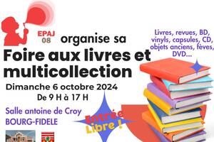 foire aux livres et multicollection